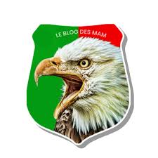 Côte d’Ivoire : Africa Sports d’Abidjan se meurt ? 